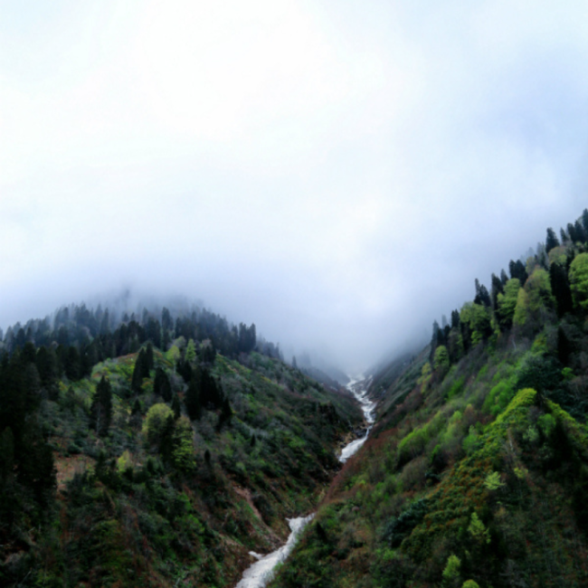 Yine hayalimde sen varsın Rize'm