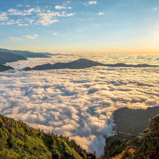 Hoşçakal Rize Şehri
