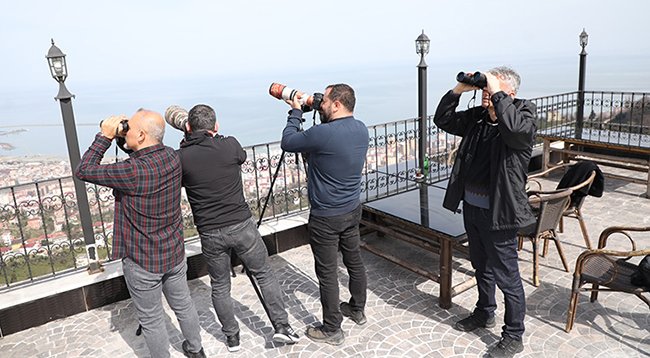 KUŞ GÖZLEMCİLİĞİ