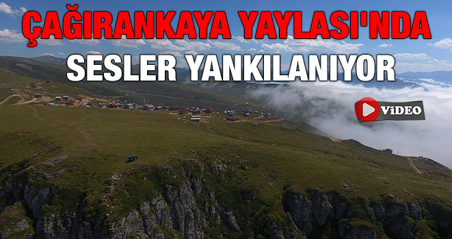 Çağırankaya Yaylası'nda sesler yankılanıyor