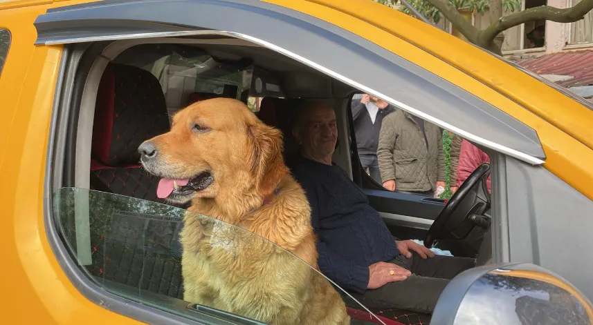 Artvin'de sıra dışı taksi deneyimi