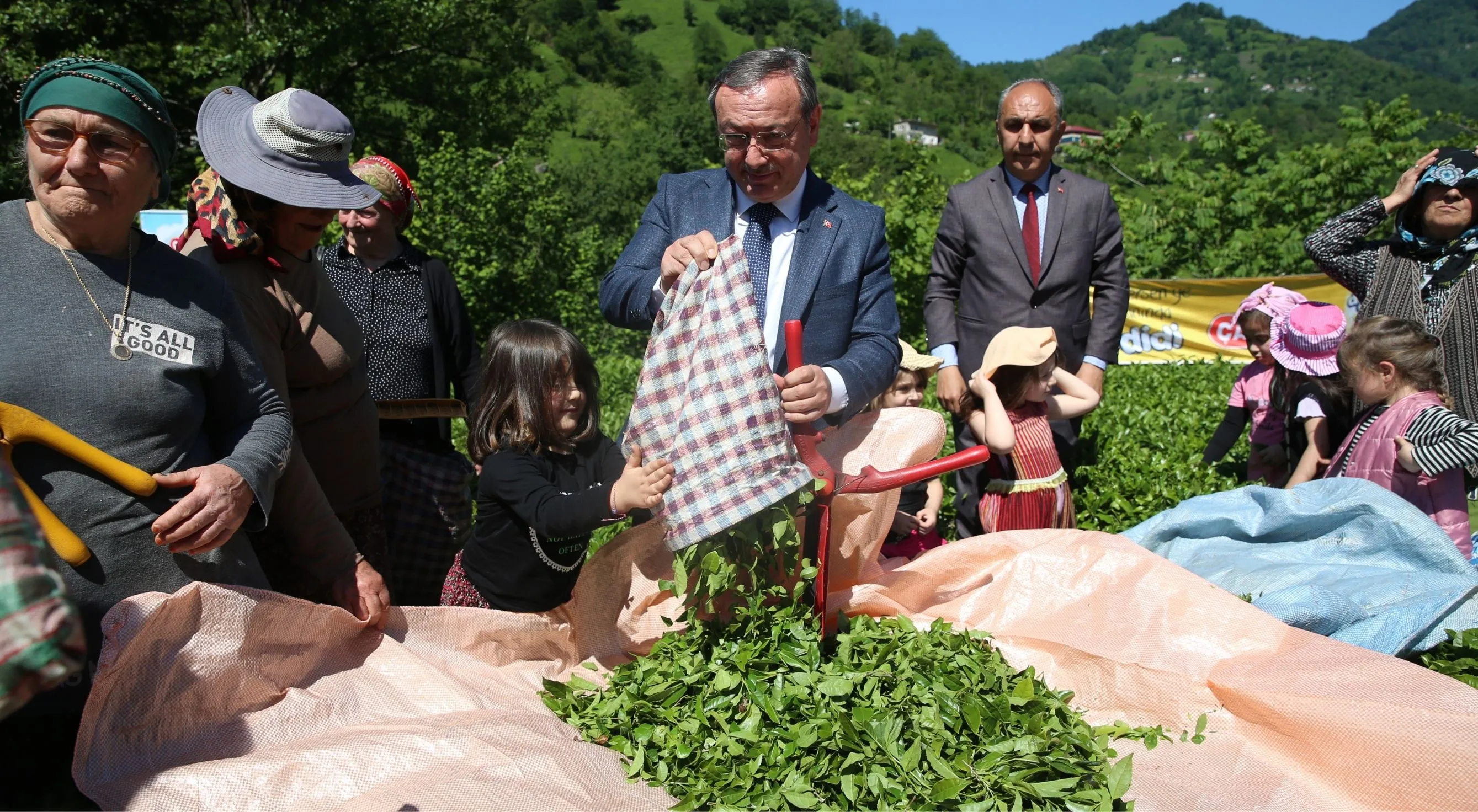 Artvin'de geleneksel çay hasadı etkinliği düzenlendi