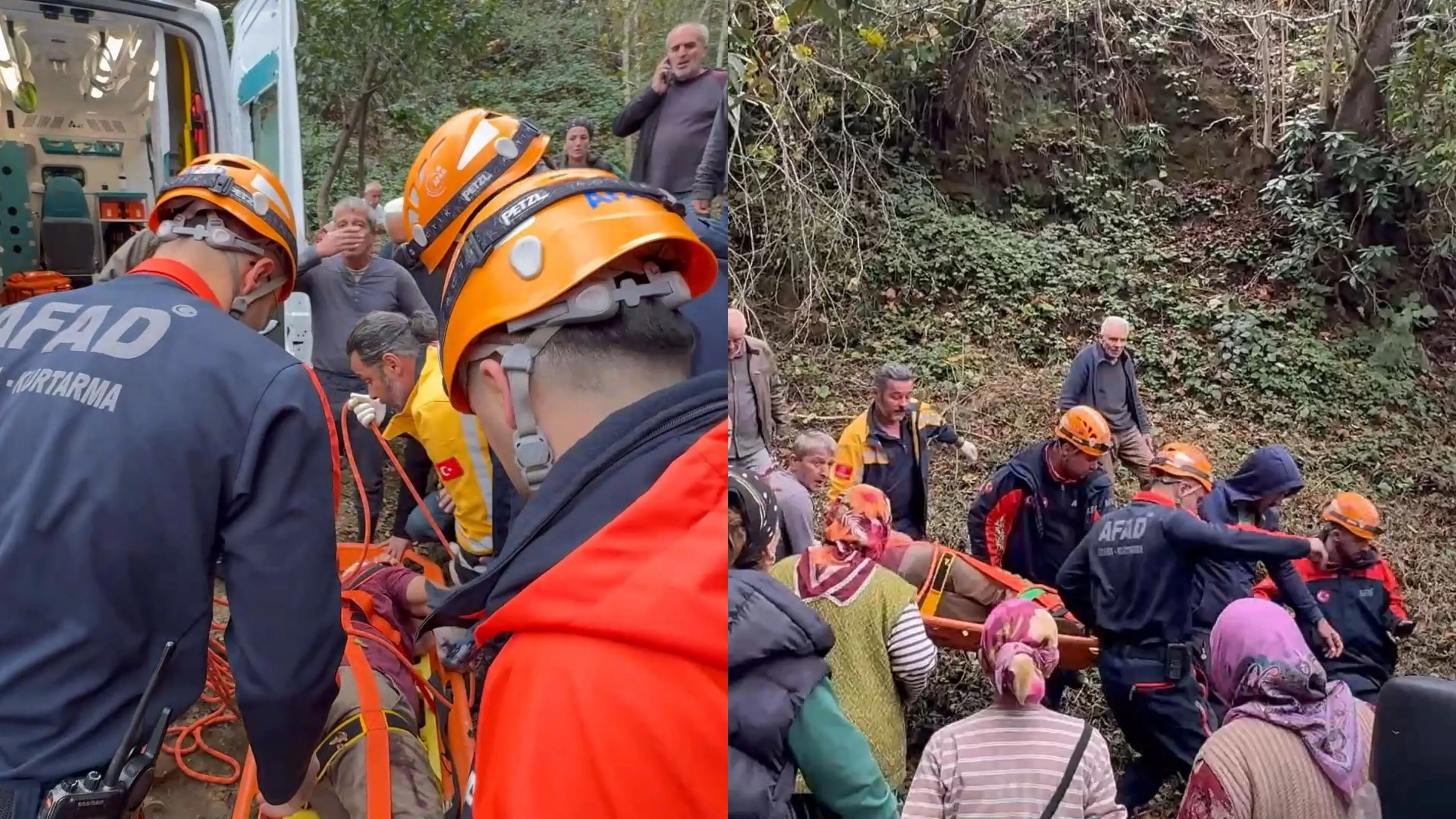 Rize'de ağaç kesimi faciası: Çarpan ağaçla uçuruma yuvarlandı