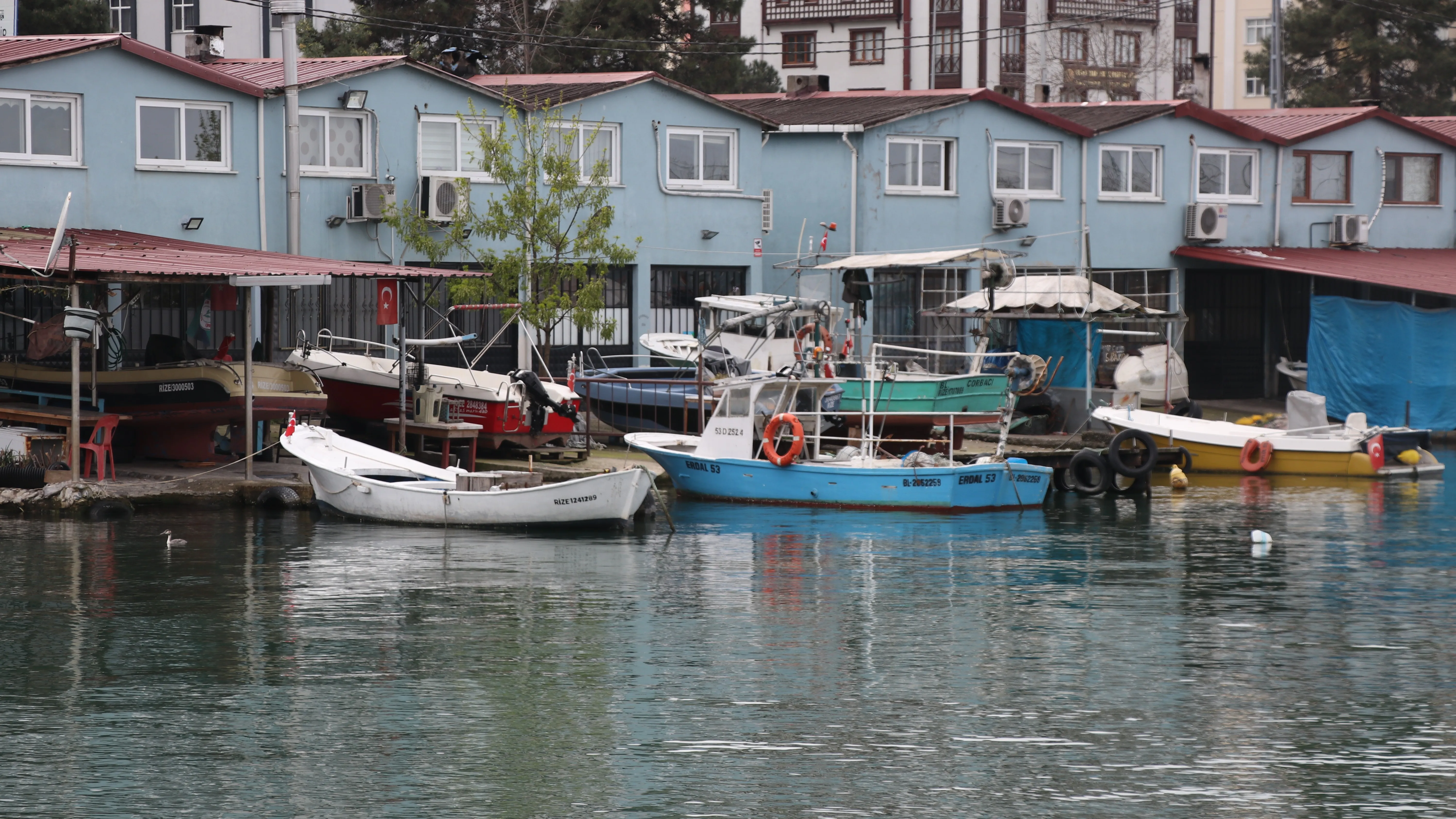Palamudun üzdüğü Karadenizli balıkçıları hamsi mutlu etti